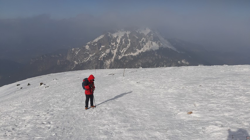 img00024.jpg