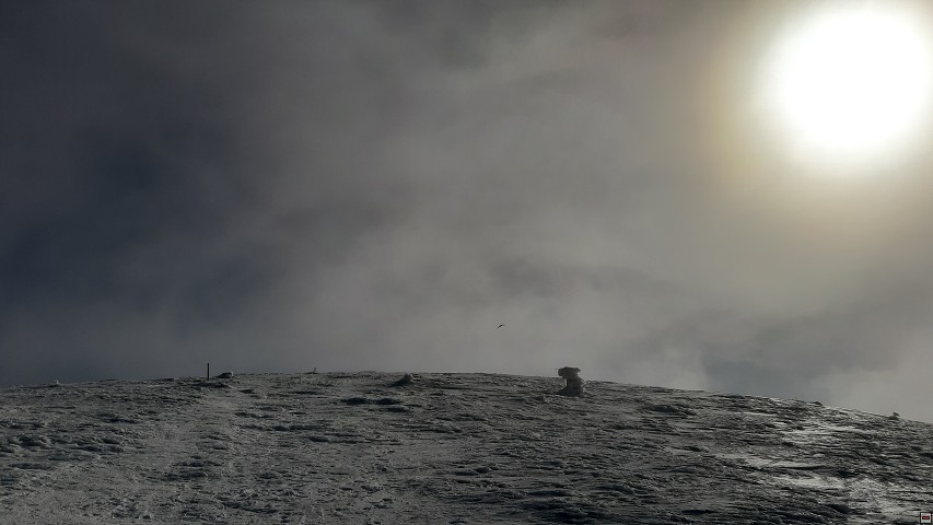 img00025.jpg
