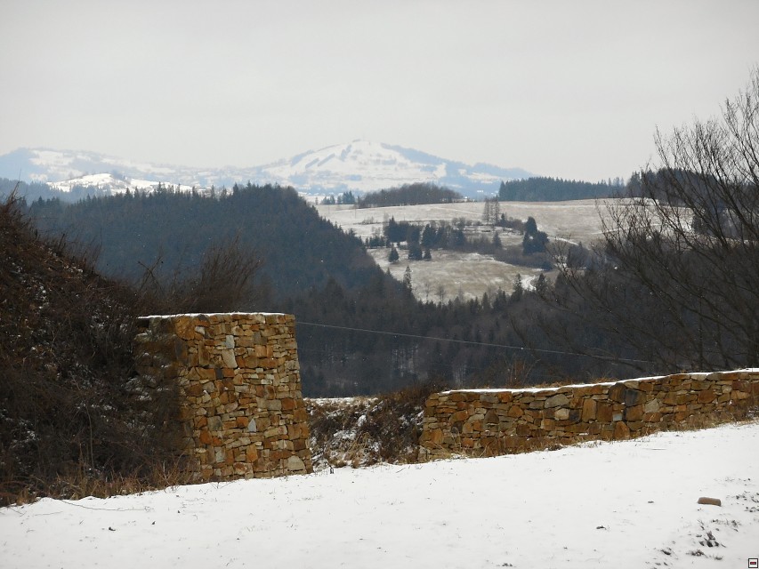 img00036.jpg