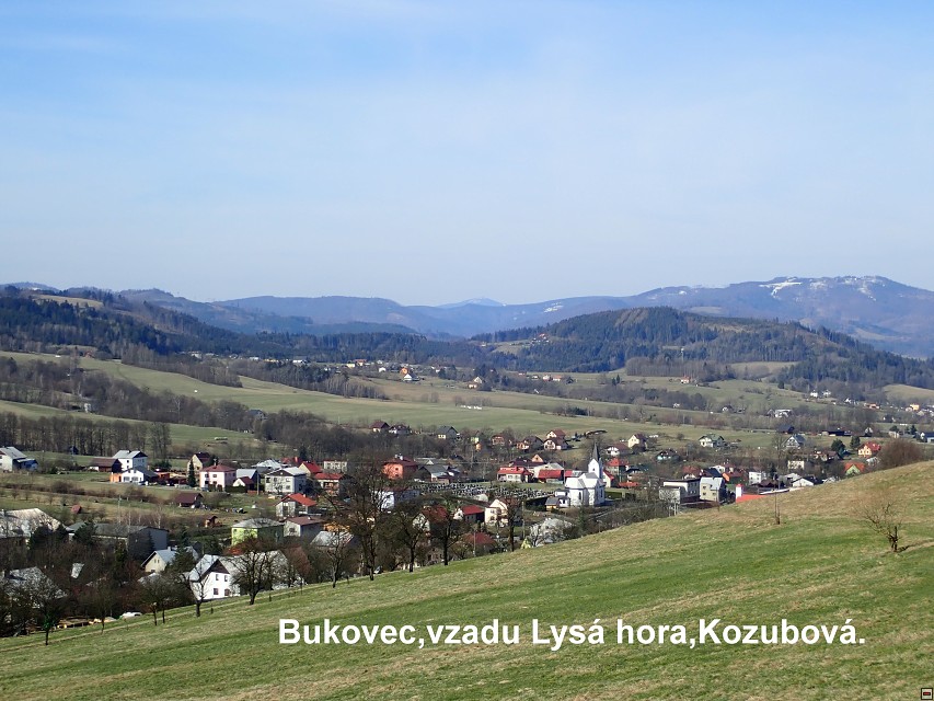 img00009.jpg