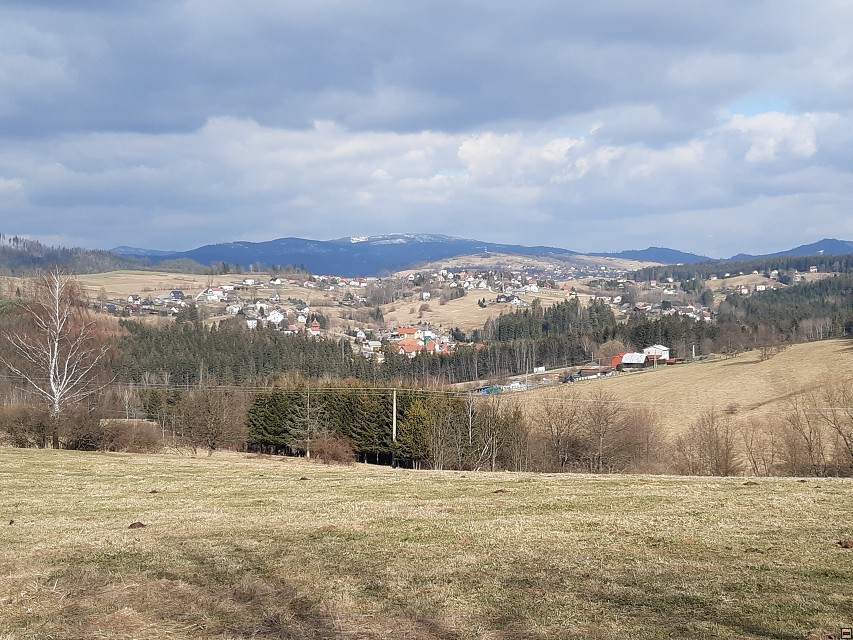 img00013.jpg