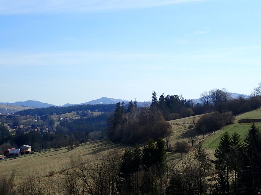 img00014.jpg
