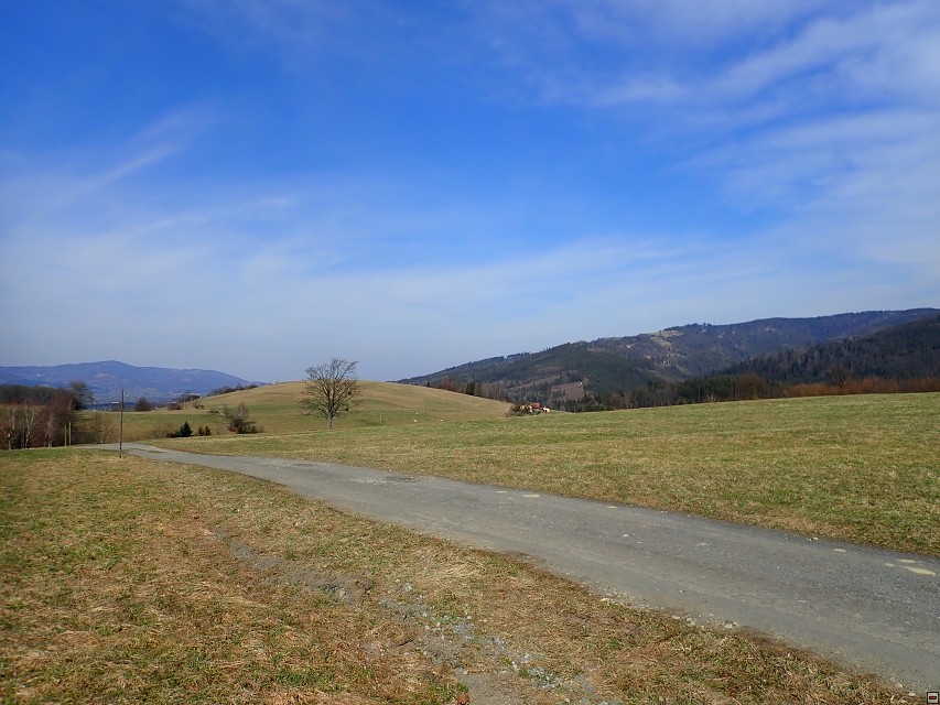img00025.jpg