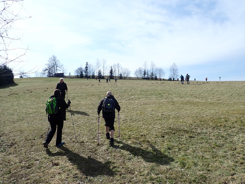 img00041.jpg