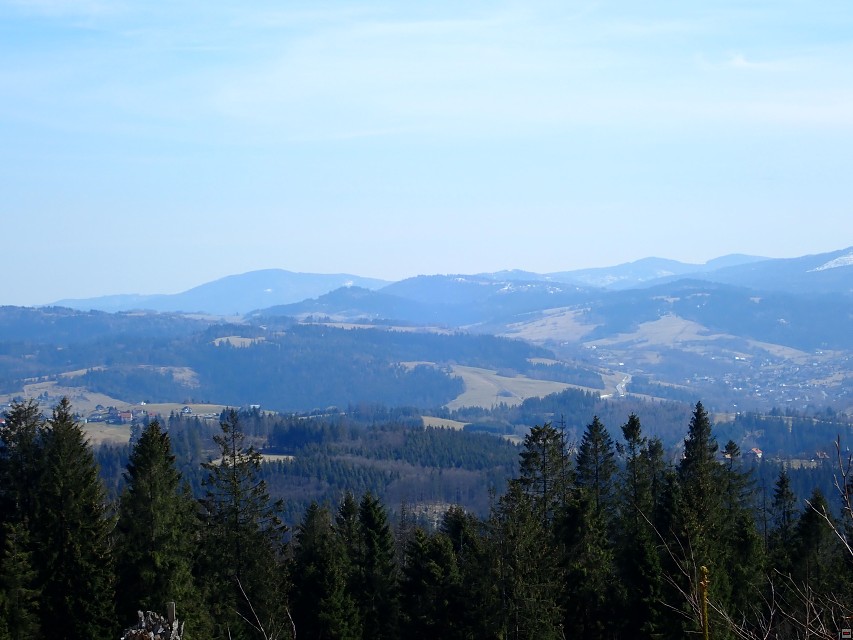 img00054.jpg