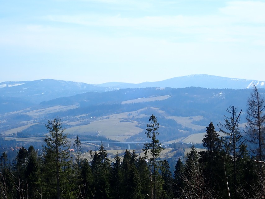 img00055.jpg