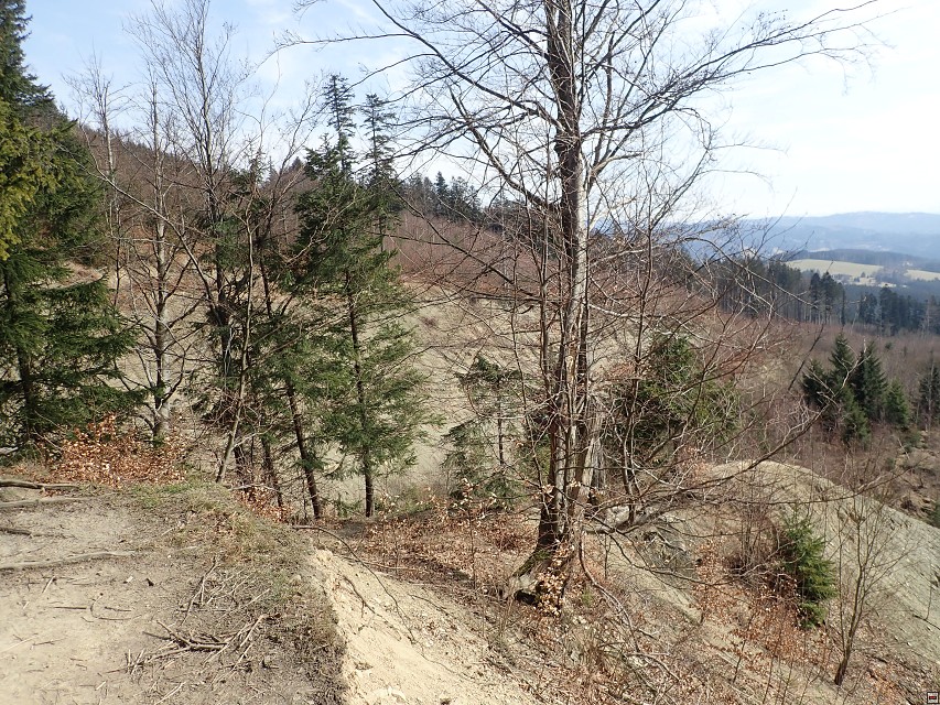 img00065.jpg