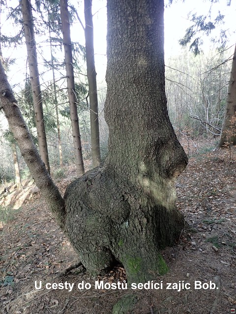 img00068.jpg