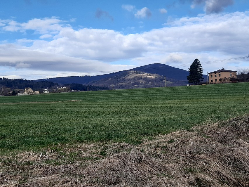 img00005.jpg