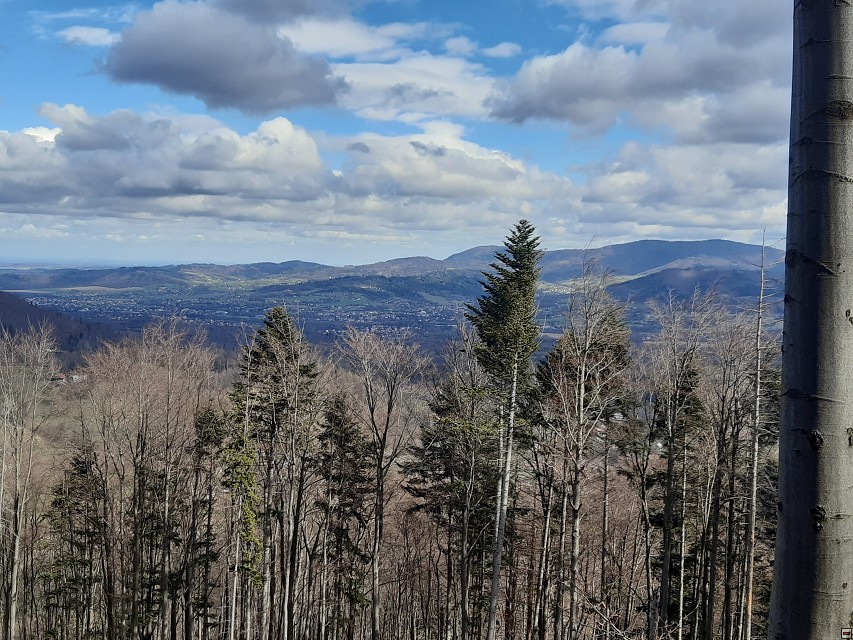img00018.jpg