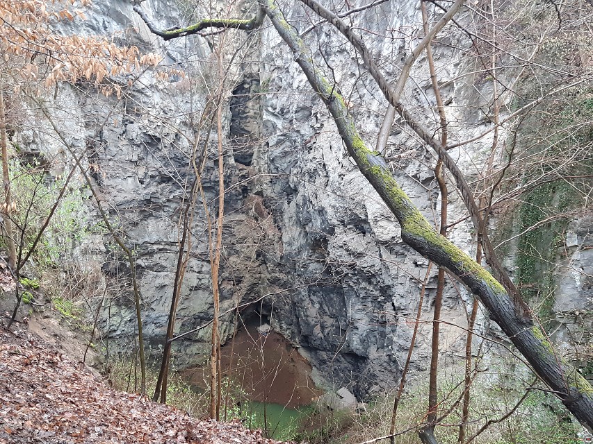 img00006.jpg