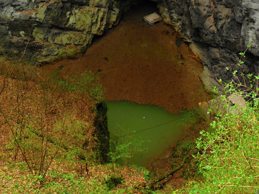 img00007.jpg