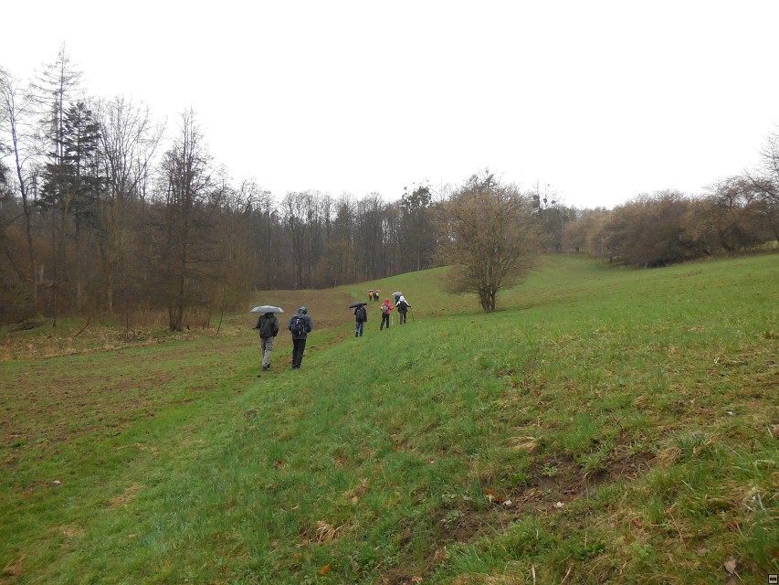 img00016.jpg