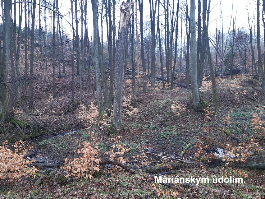 img00018.jpg