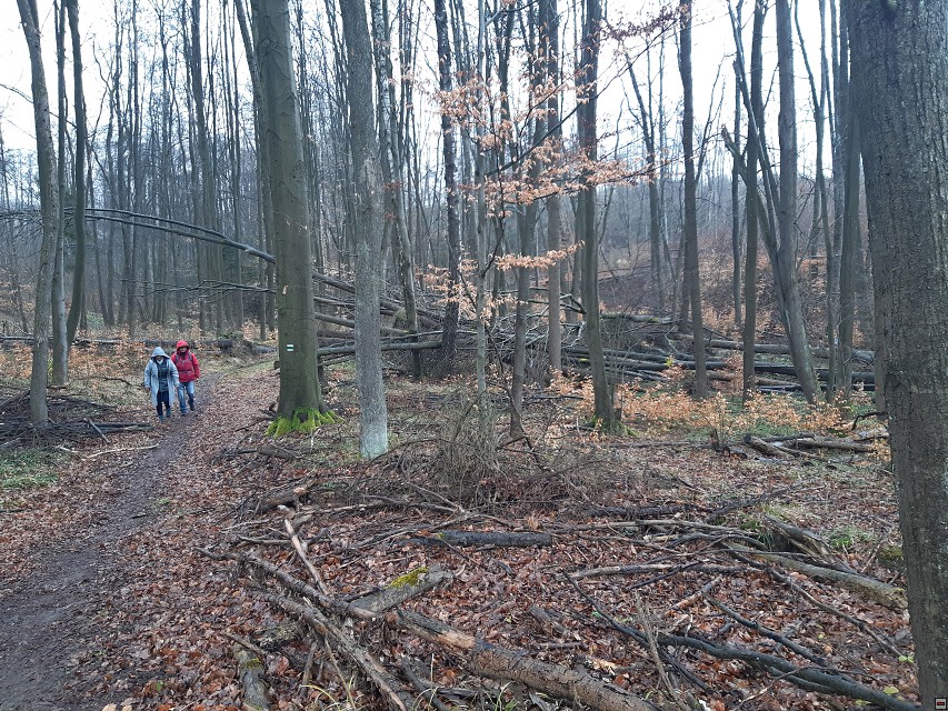 img00022.jpg