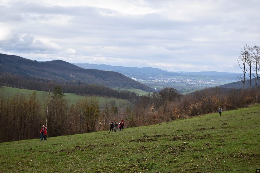 img00013.jpg