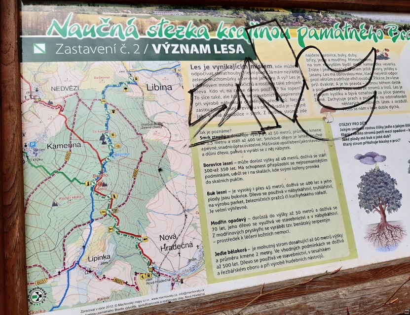 img00029.jpg