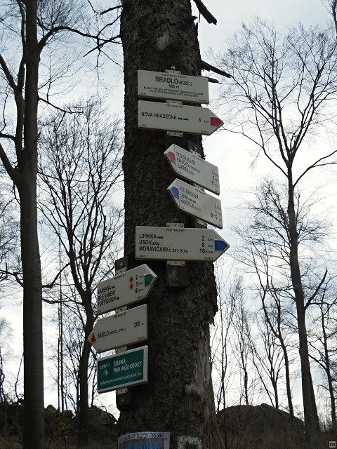 img00051.jpg