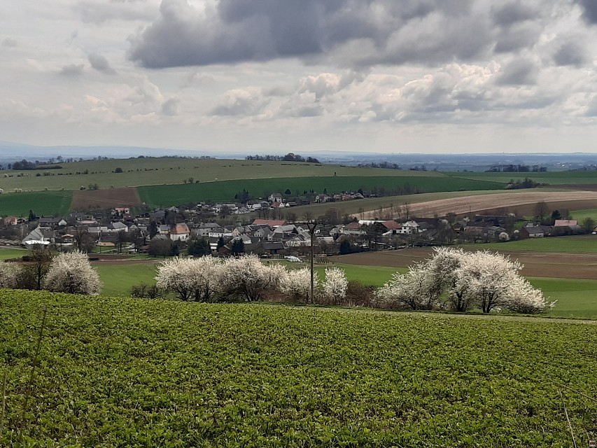 img00070.jpg