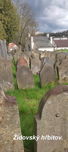 img00091.jpg