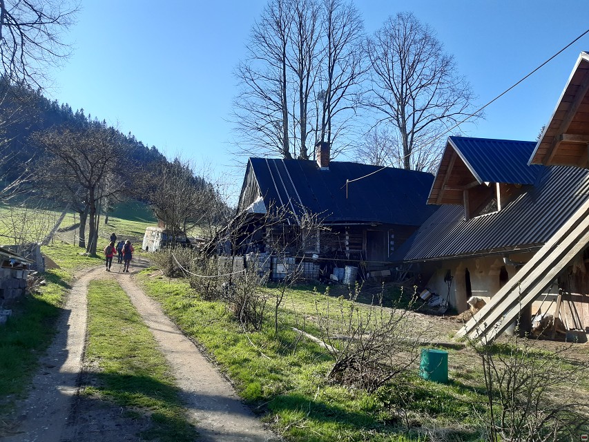 img00006.jpg