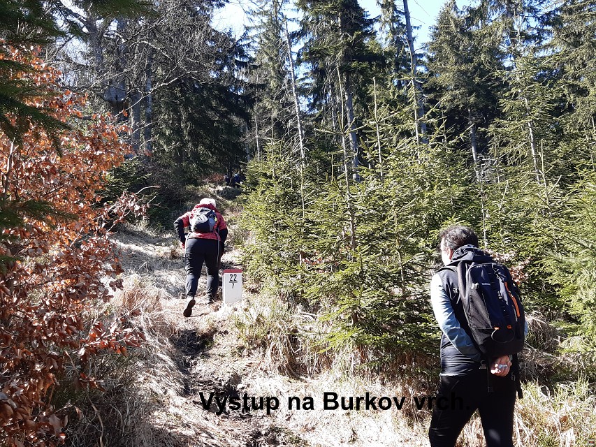 img00011.jpg