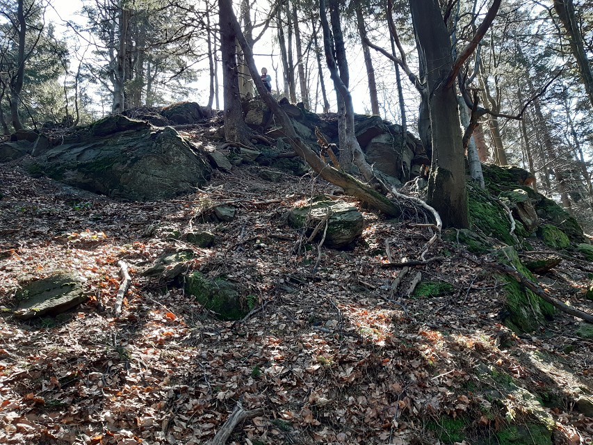 img00016.jpg