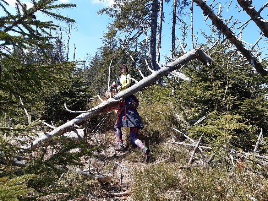 img00020.jpg