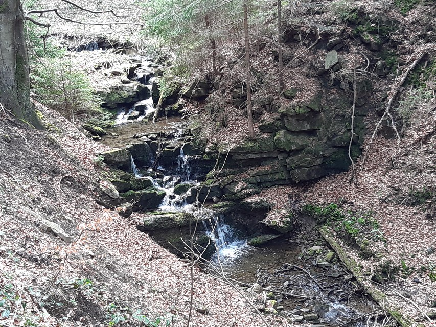 img00042.jpg