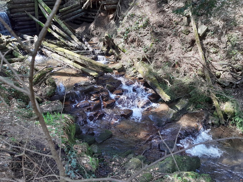 img00045.jpg