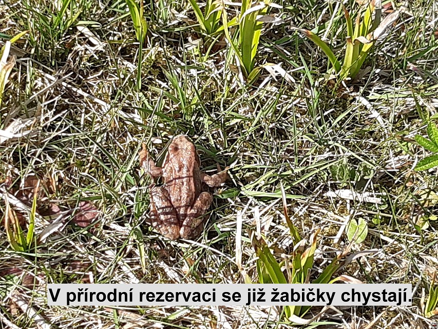 img00047.jpg