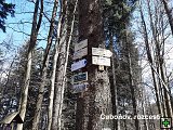 thn00031.jpg