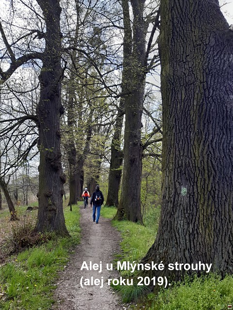 img00027.jpg