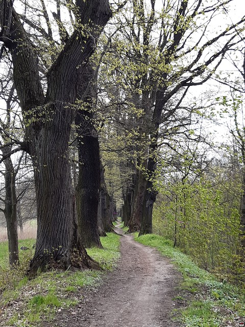 img00028.jpg