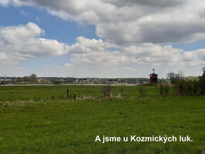 img00039.jpg
