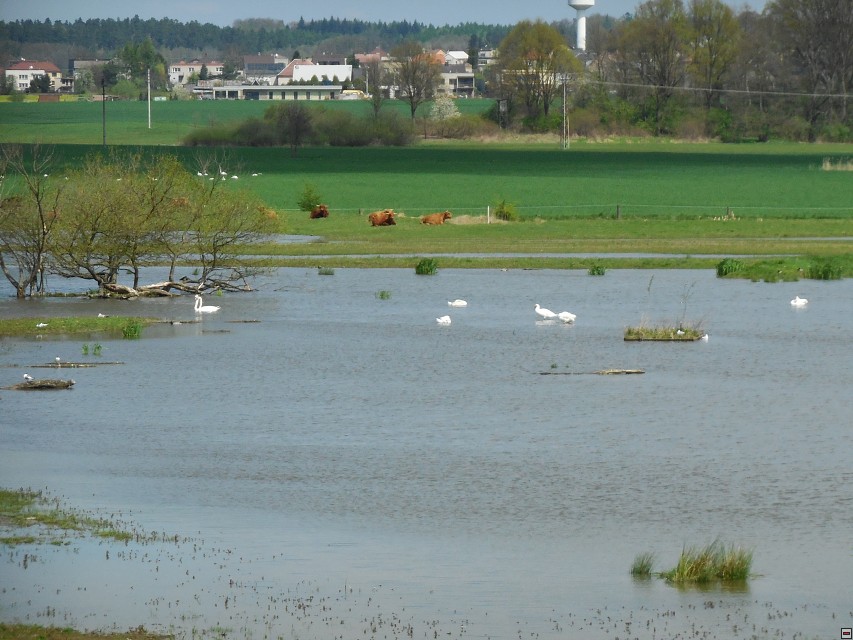 img00048.jpg