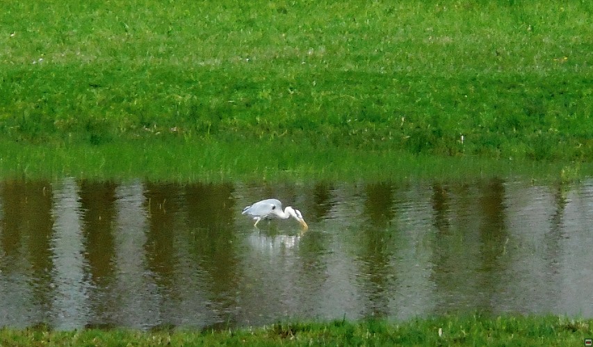 img00049.jpg