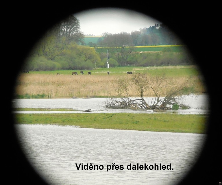 img00053.jpg