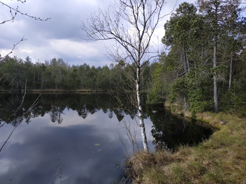 img00015.jpg