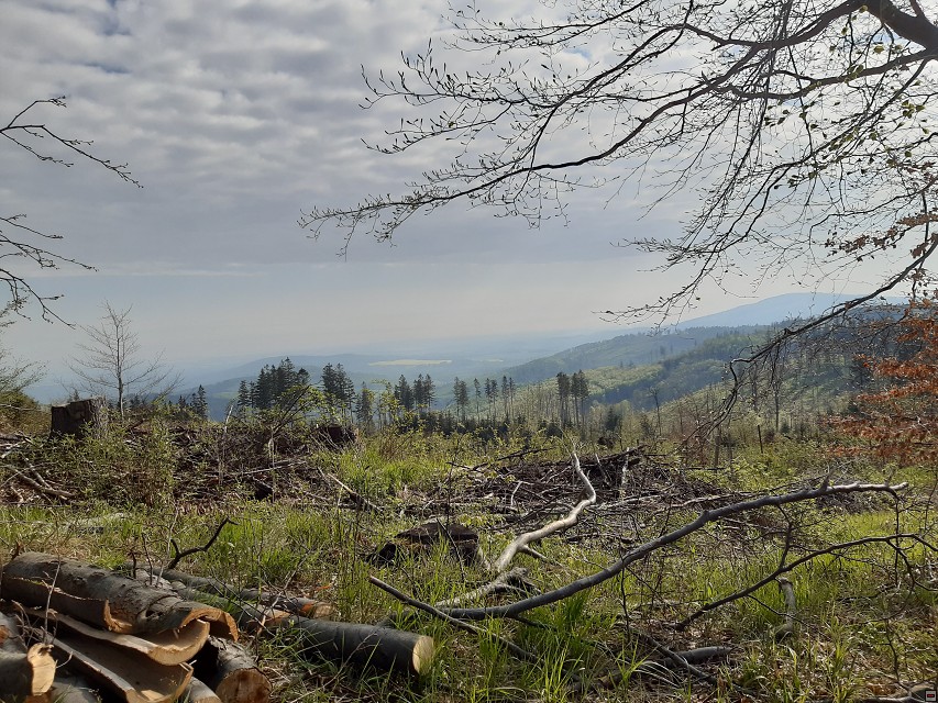 img00017.jpg