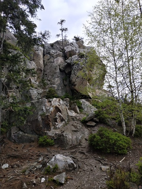 img00021.jpg