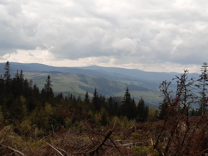img00026.jpg