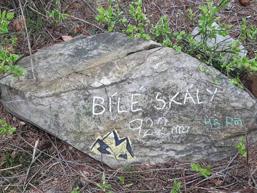 img00030.jpg