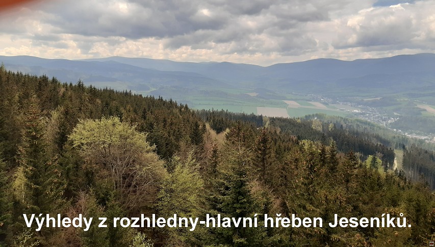 img00042.jpg