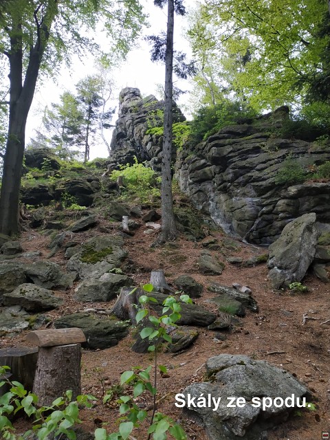 img00055.jpg