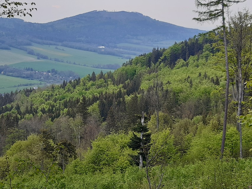 img00058.jpg