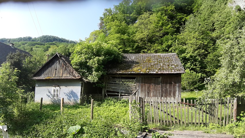 img00004.jpg