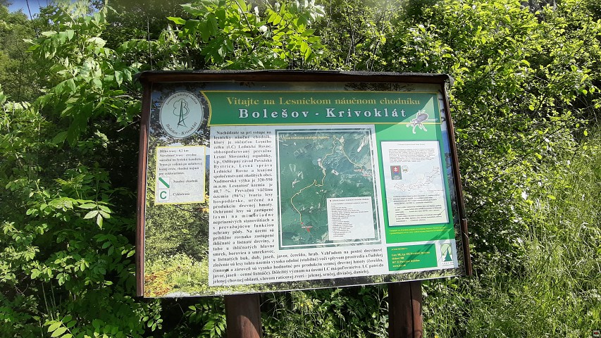 img00005.jpg