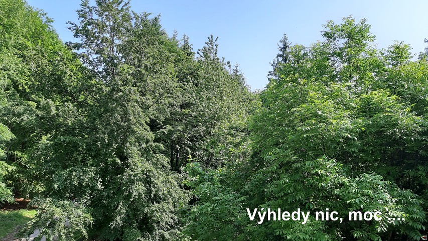 img00008.jpg