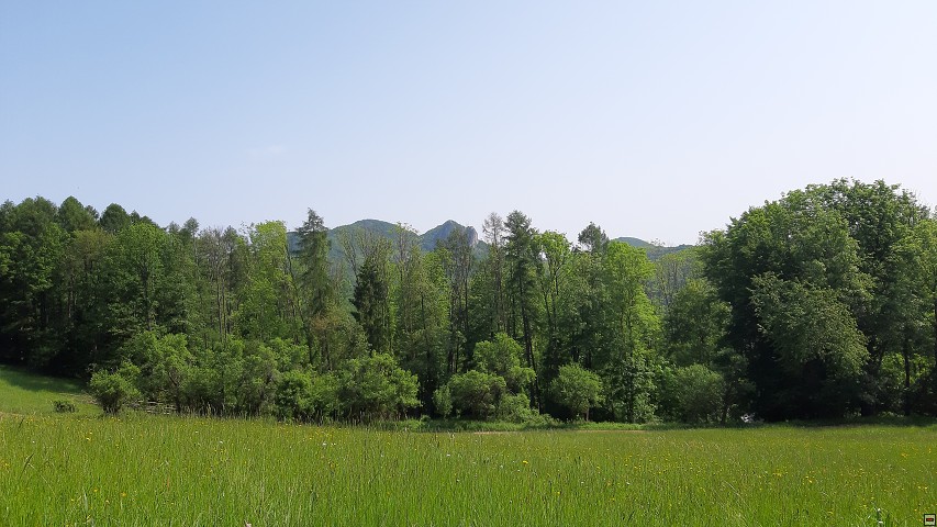img00010.jpg